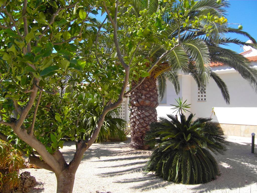 Apartment Los Eucaliptus L'Eucaliptus Экстерьер фото